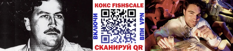 Кокаин FishScale  закладки  Электрогорск 