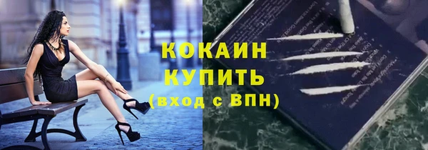 стаф Бородино