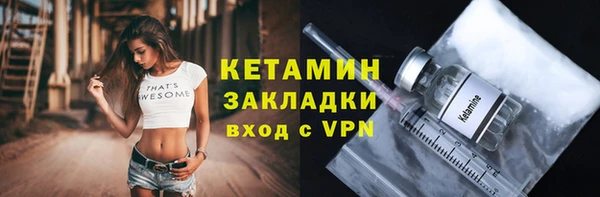 стаф Бородино