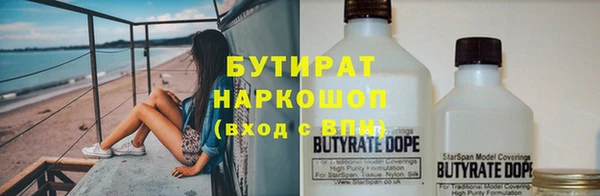 стаф Бородино