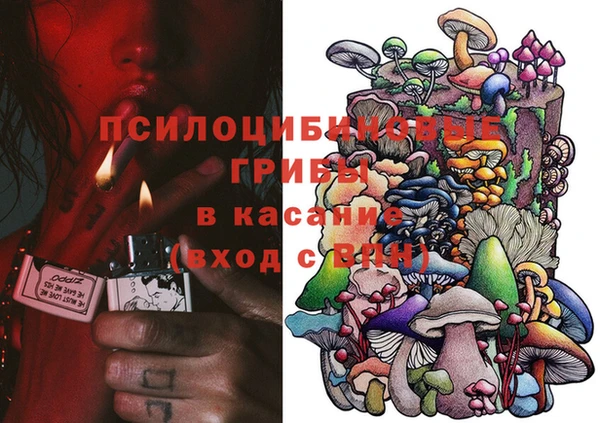 стаф Бородино