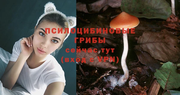 дживик Чекалин