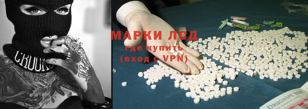 стаф Бородино