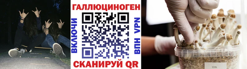 Псилоцибиновые грибы Magic Shrooms Электрогорск