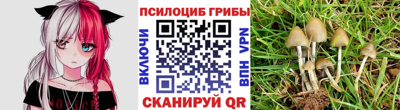 Галлюциногенные грибы прущие грибы  как найти наркотики  Электрогорск 